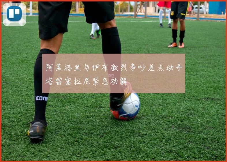 阿莱格里与伊布激烈争吵差点动手塔雷富拉尼紧急劝解