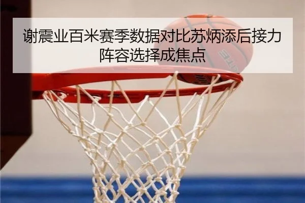 谢震业百米赛季数据对比苏炳添后接力阵容选择成焦点（vsport）